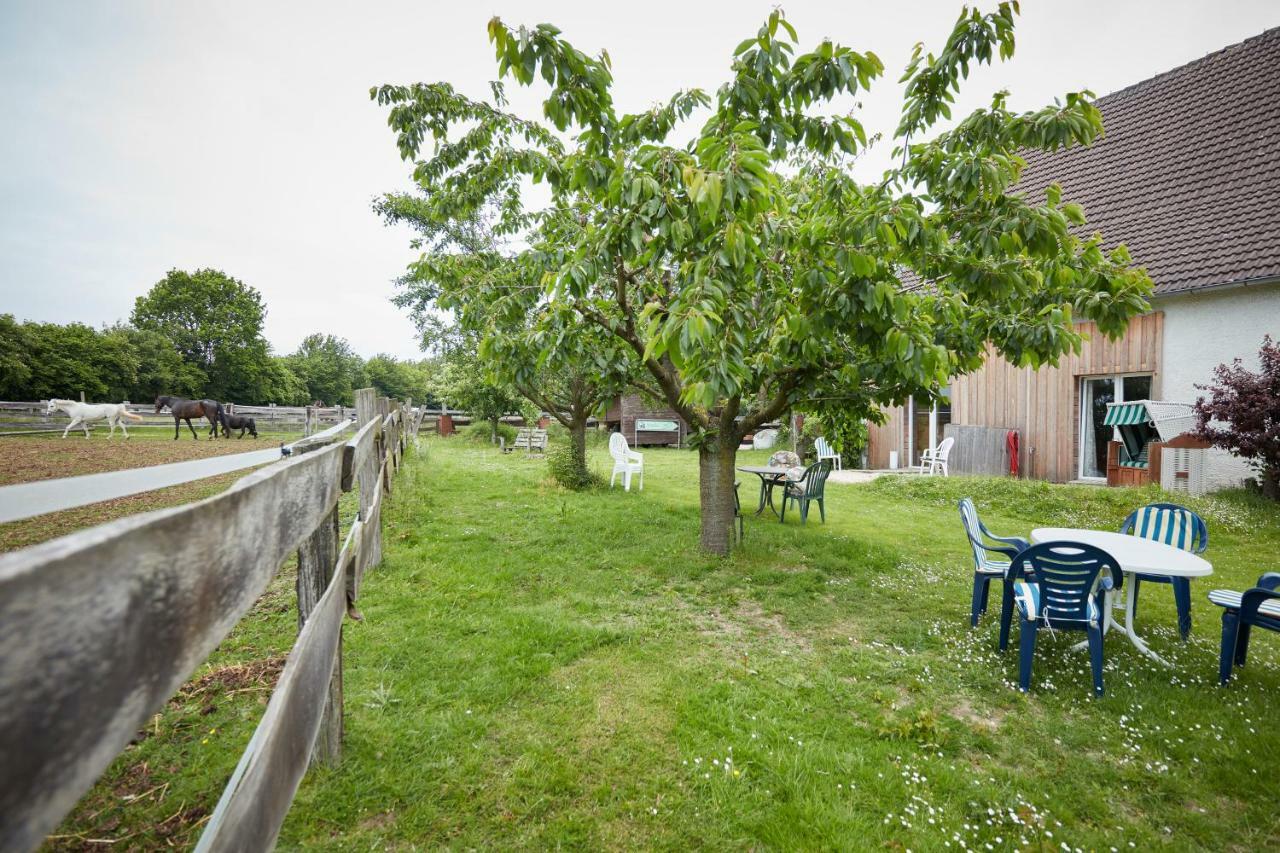 Reiterhof Zwei Linden Apartment Melle Exterior photo